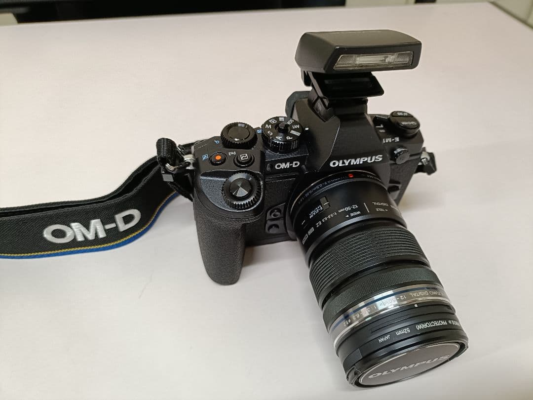 【美品2638回】OLYMPUS OM-D E-M1 ミラーレス一眼カメラ
