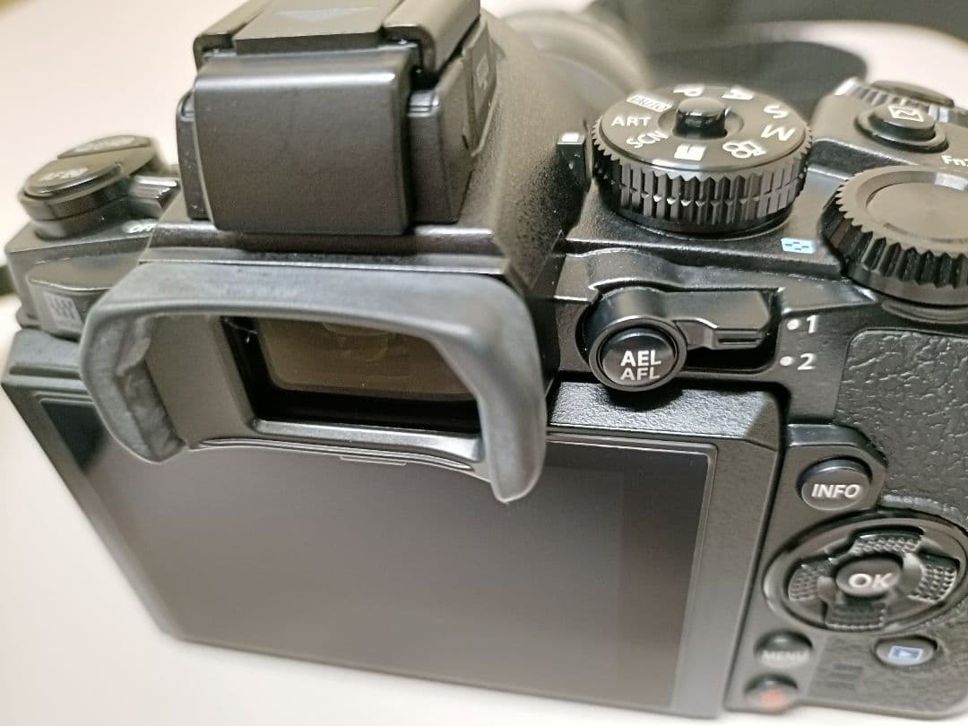 【美品2638回】OLYMPUS OM-D E-M1 ミラーレス一眼カメラ