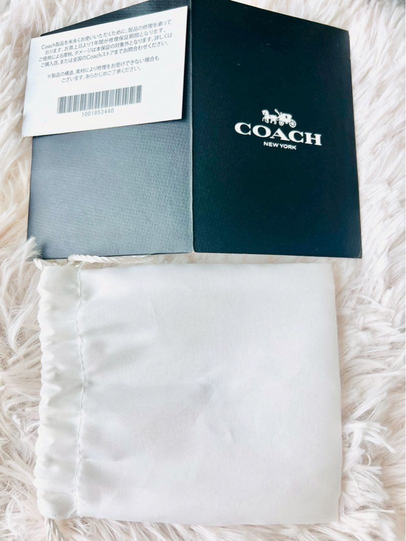 ✨極美品✨COACH　コーチ　キーホルダー　チャーム　恐竜　レキシー　ダイナソー