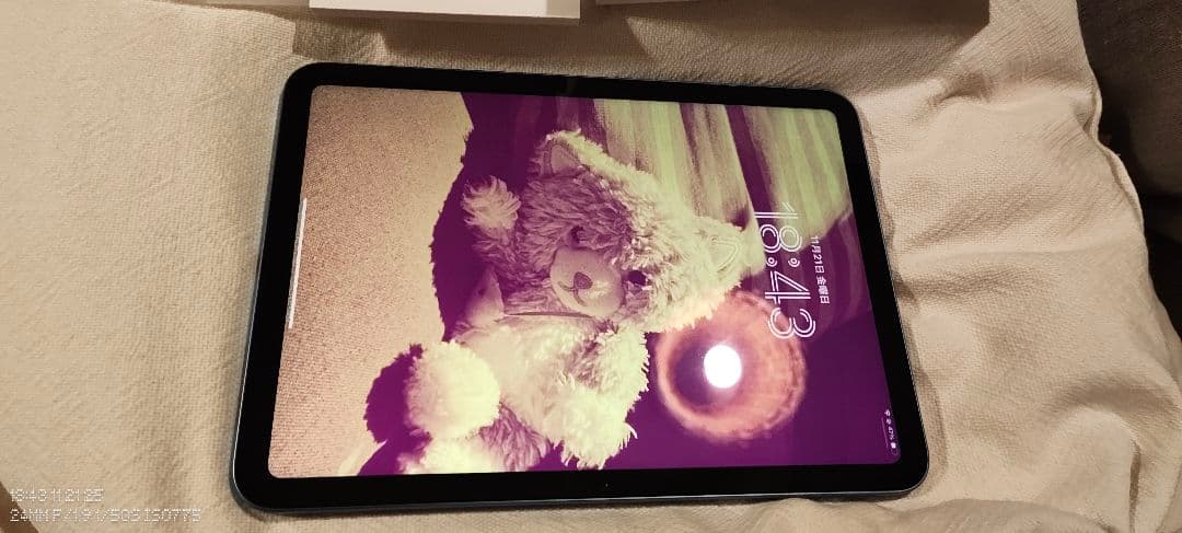 iPad10世代 本体 充電器・説明書付き ブルー