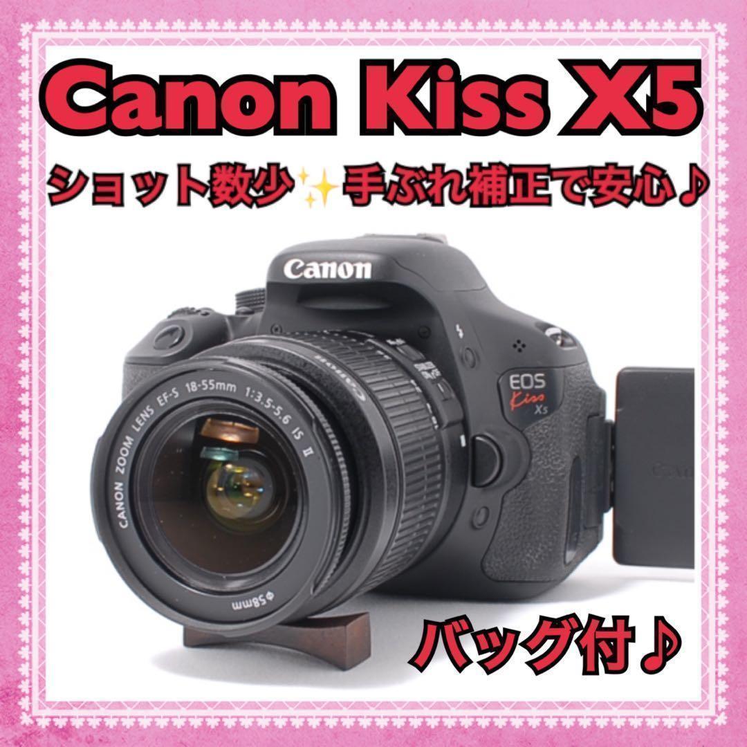 ショット数5500回✨Canon EOS Kiss X5 手ぶれ補正標準レンズ付