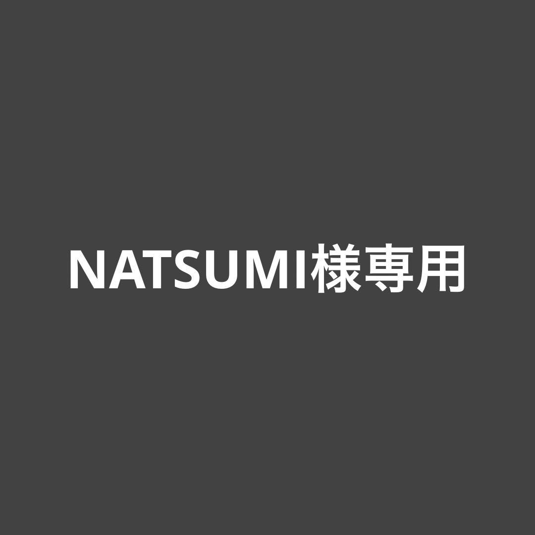 デジタルカメラ NATSUMI