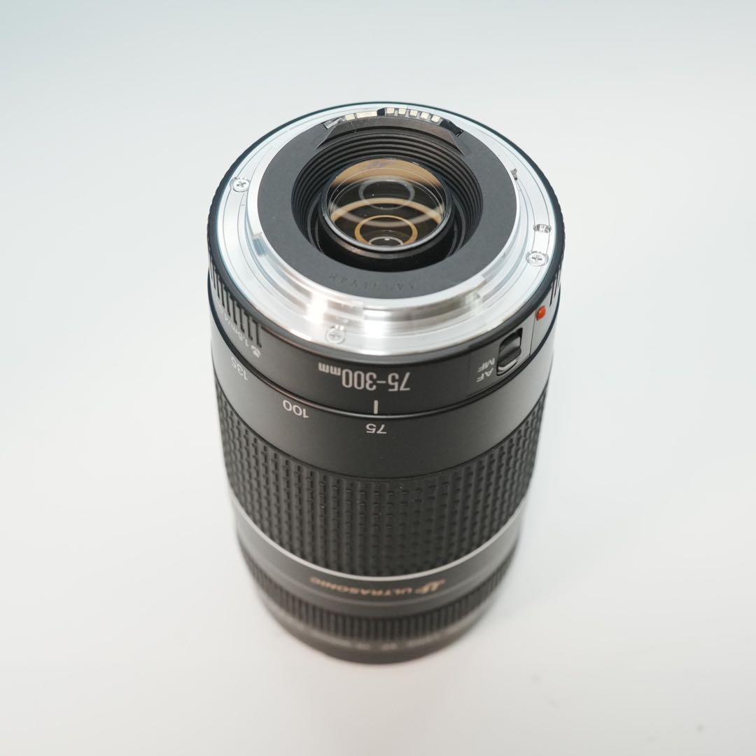 Canon純正 75-300mm 望遠レンズ 極美品 a5203