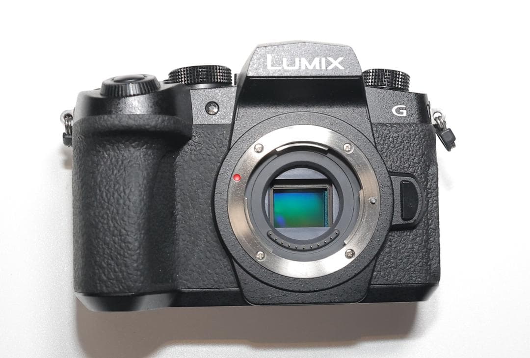 【美品】Panasonic LUMIX DC-G99 ボディ 付属品、カプラ付