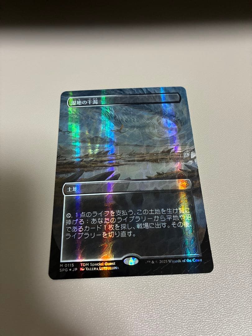 湿地の干潟　日本語版ドラゴンスケイル