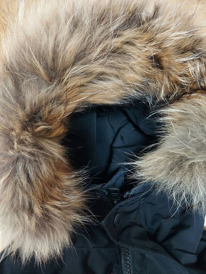 【にむ】DANTON/ダントン DOWN タッサーダウンコート