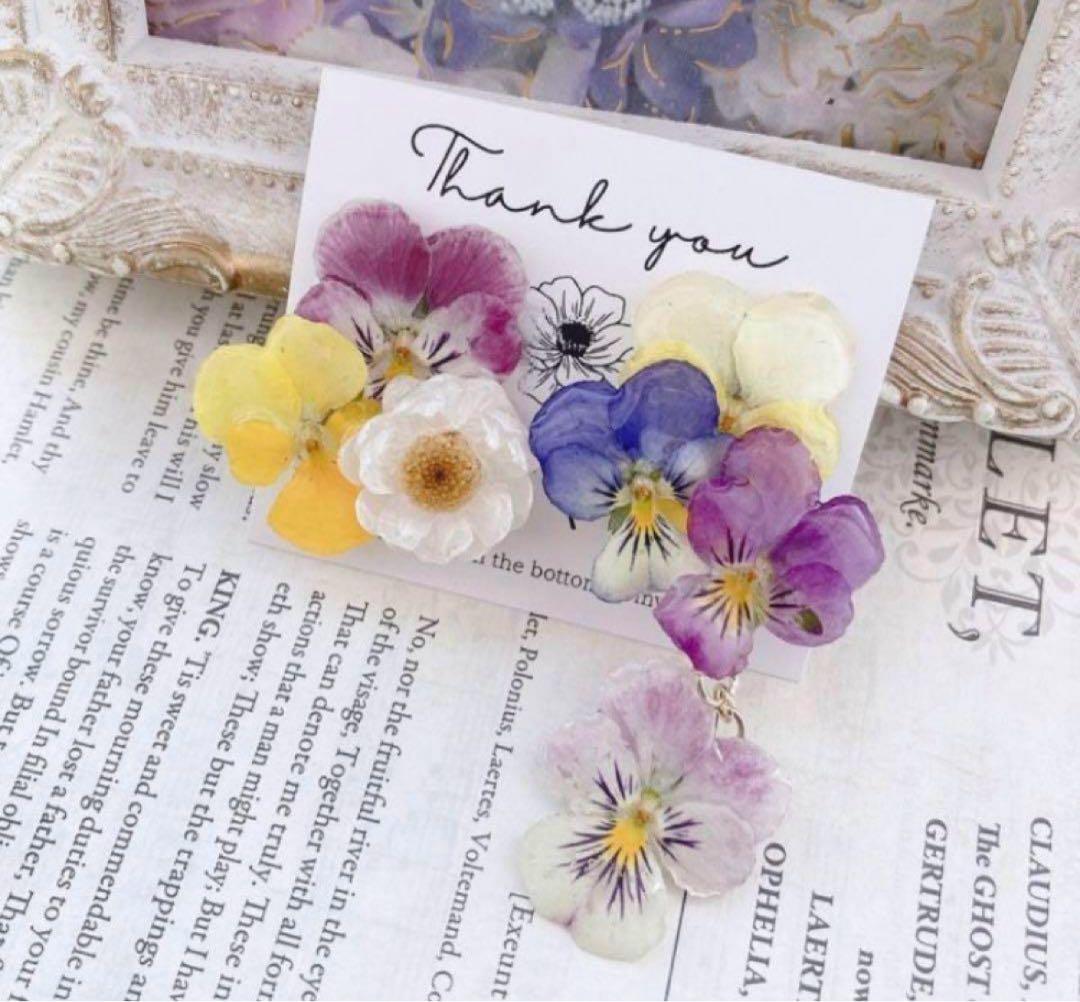 ビオラピアス❁¨̮