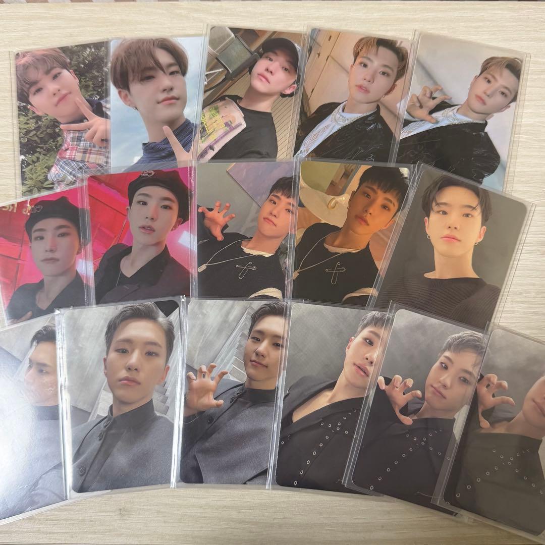 【専用出品】　　　A lice 様