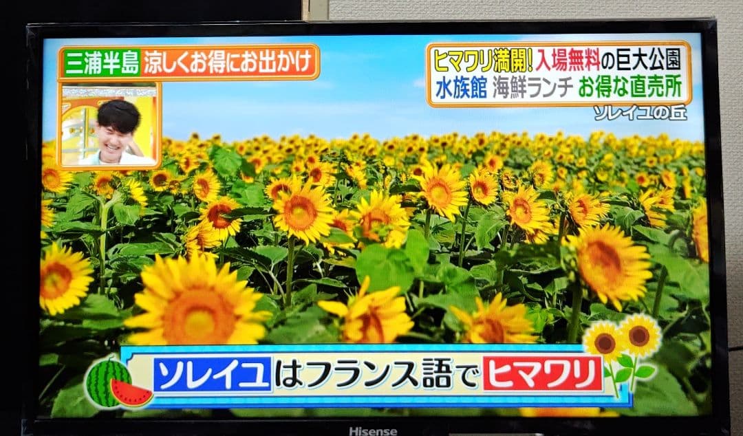 【完動品】Hisense 32BK1 32型 スマートテレビ　送料無料