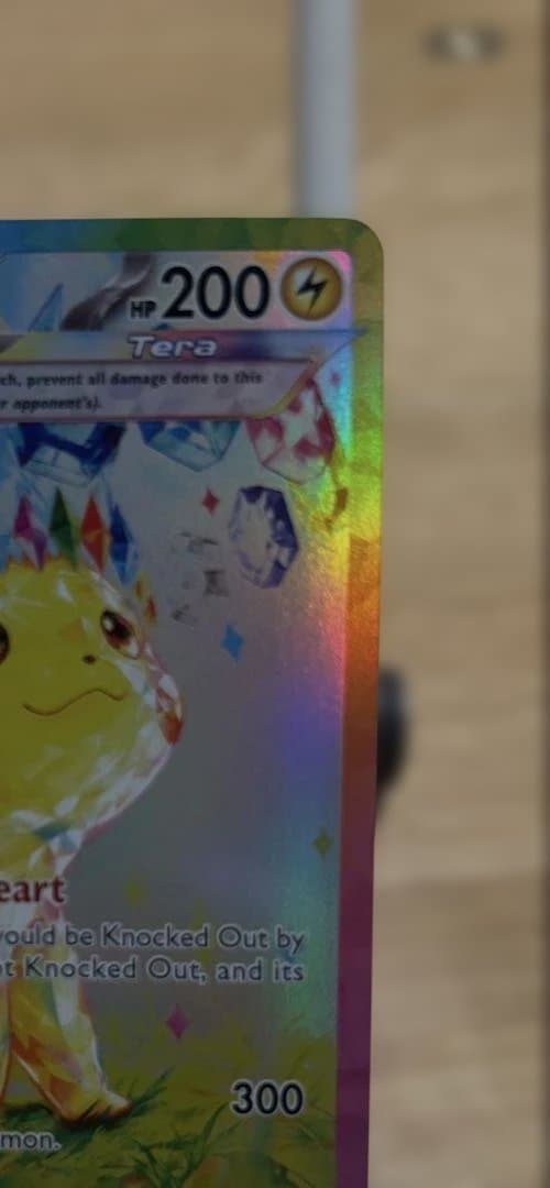 十四代　秘蔵　専用