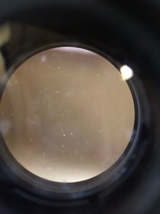 フィルムカメラ OLYMPUS OM-1