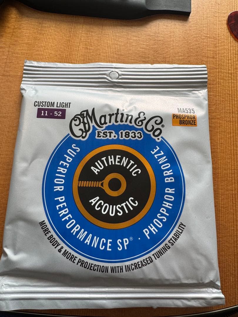 Martin&Co.Road Series/D-10E-02 アコギ 備品付き