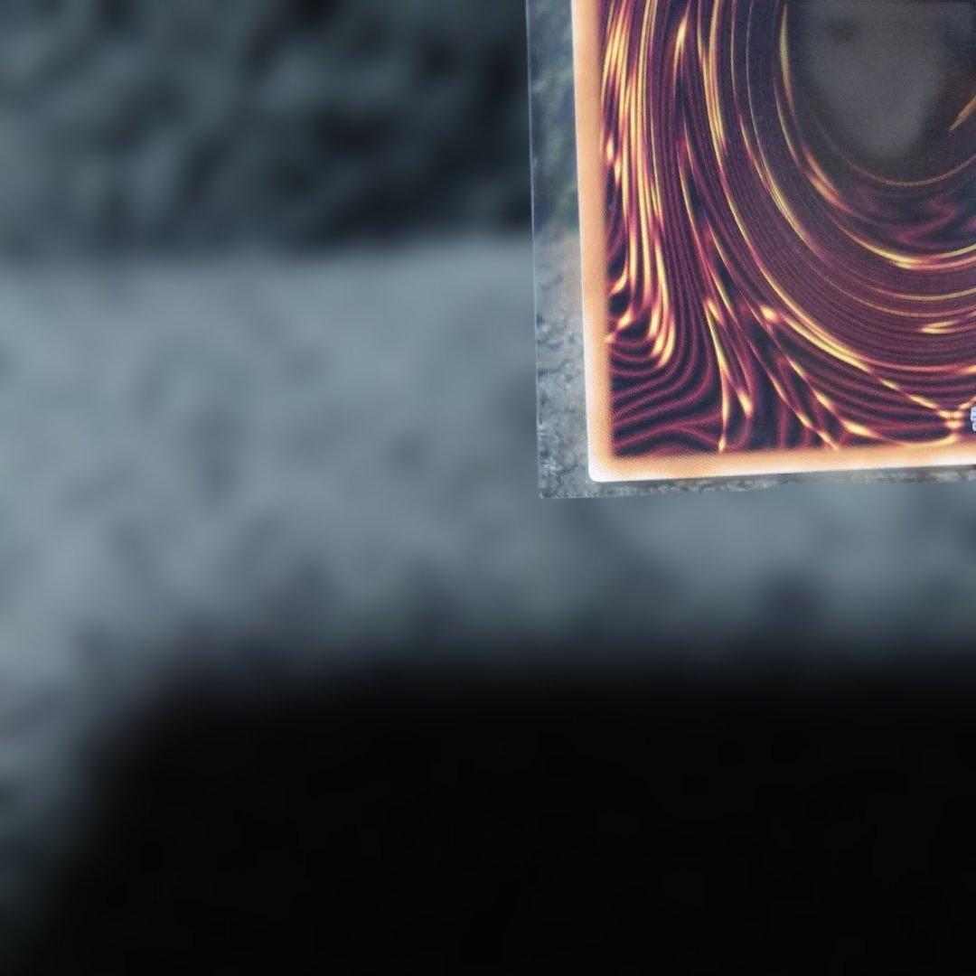 遊戯王OCG 白の聖女　エクレシア　イラスト違い　クオシク