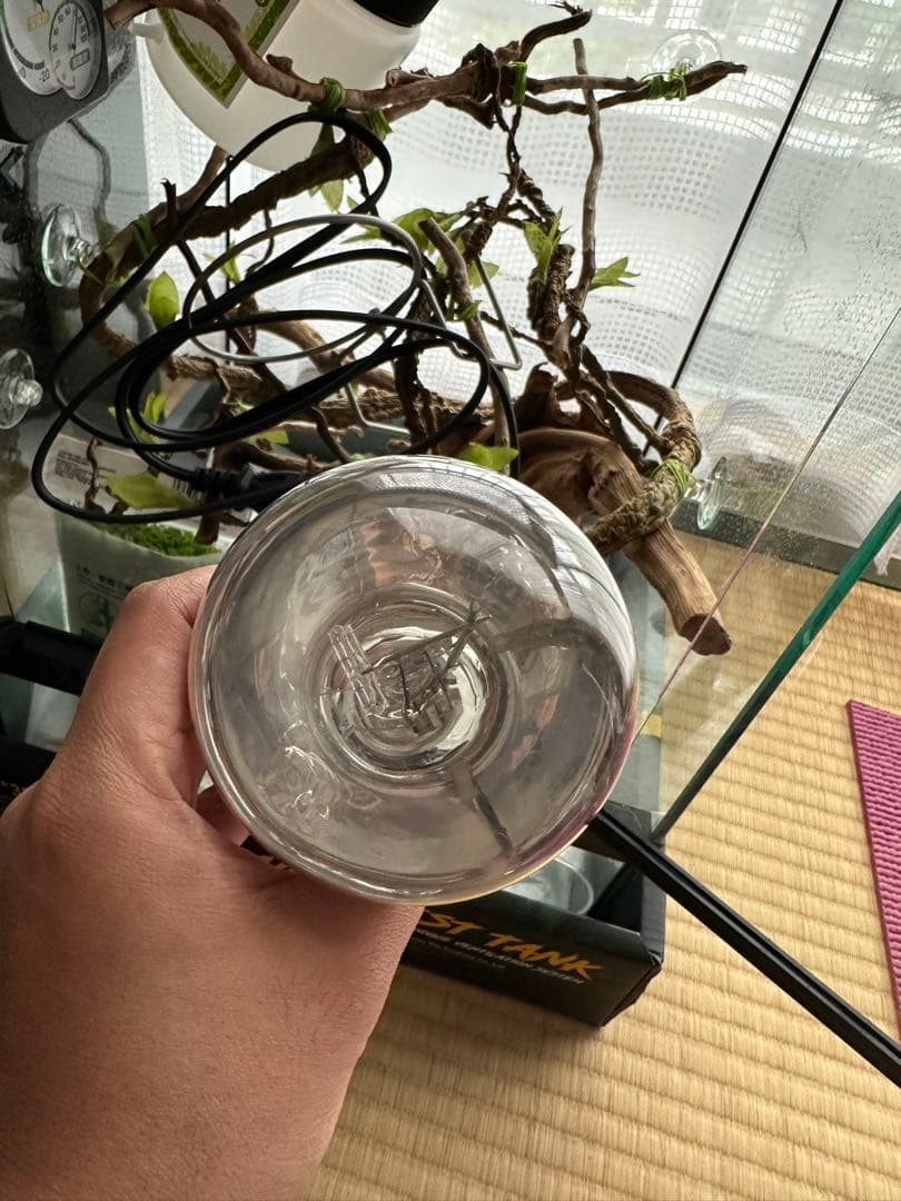 その他 deko_cherry