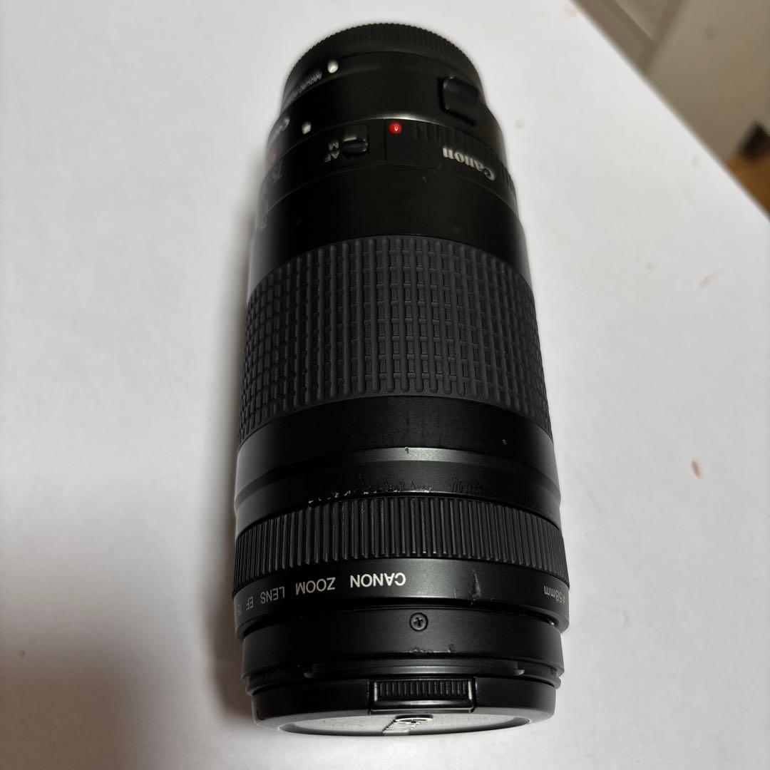 Canon EF 75-300mm ズームレンズ