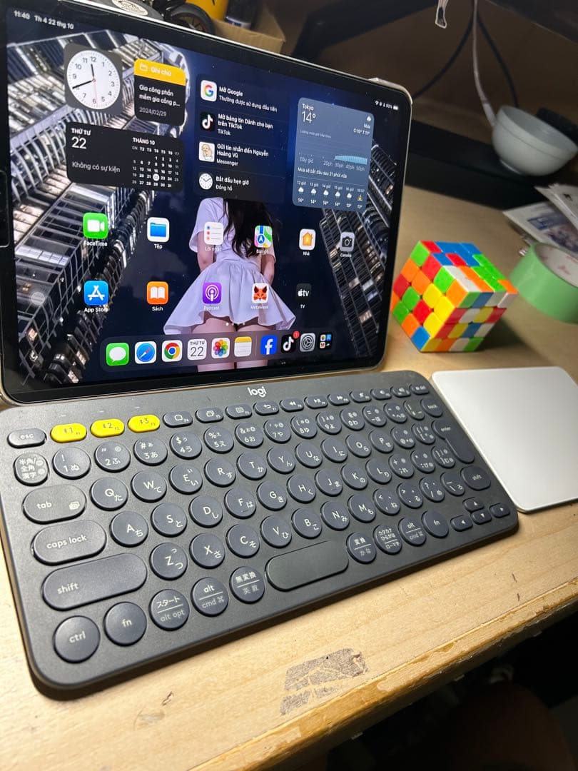 iPad Pro (11 inch) （第3世代）