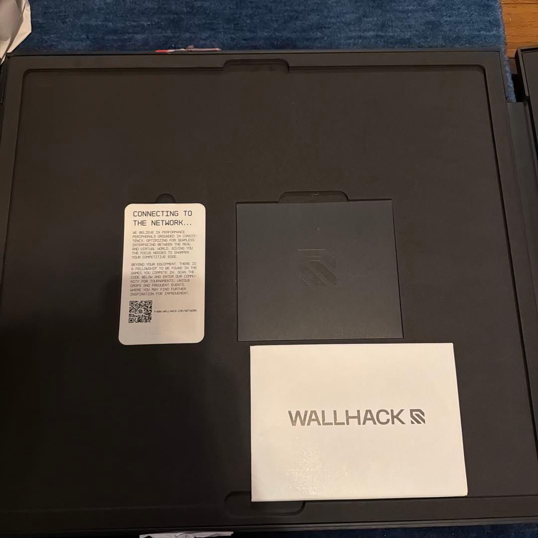 SP004 限定版　FUTUREFALL 開封済み　未使用