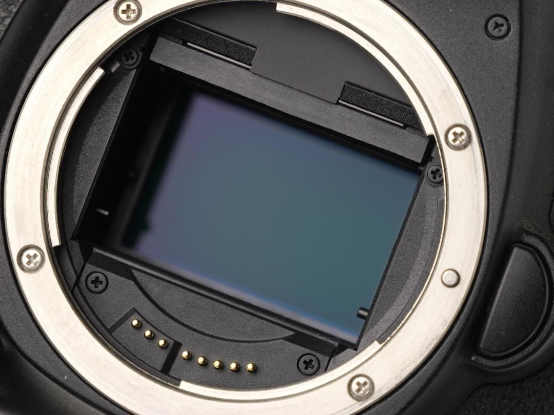 CANON 6D Mark2　おまけレンズ付き