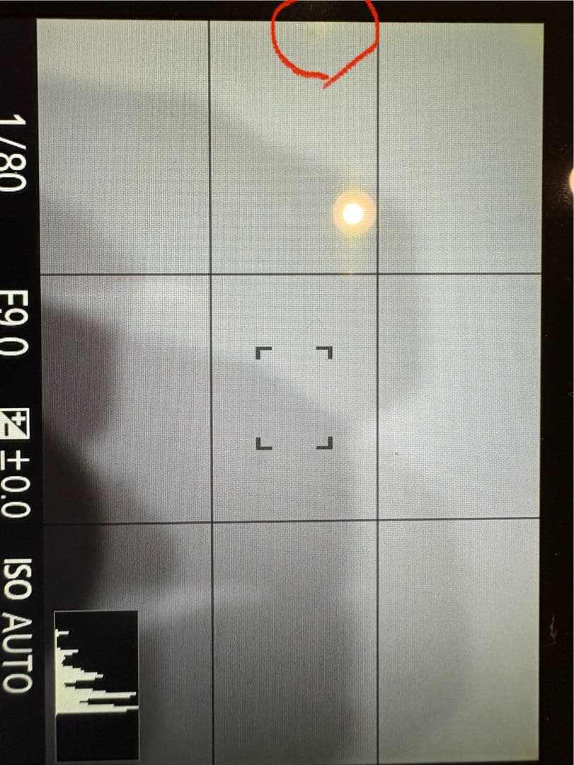 最終値下げ！！ Sony RX1 コンパクトデジタルカメラ