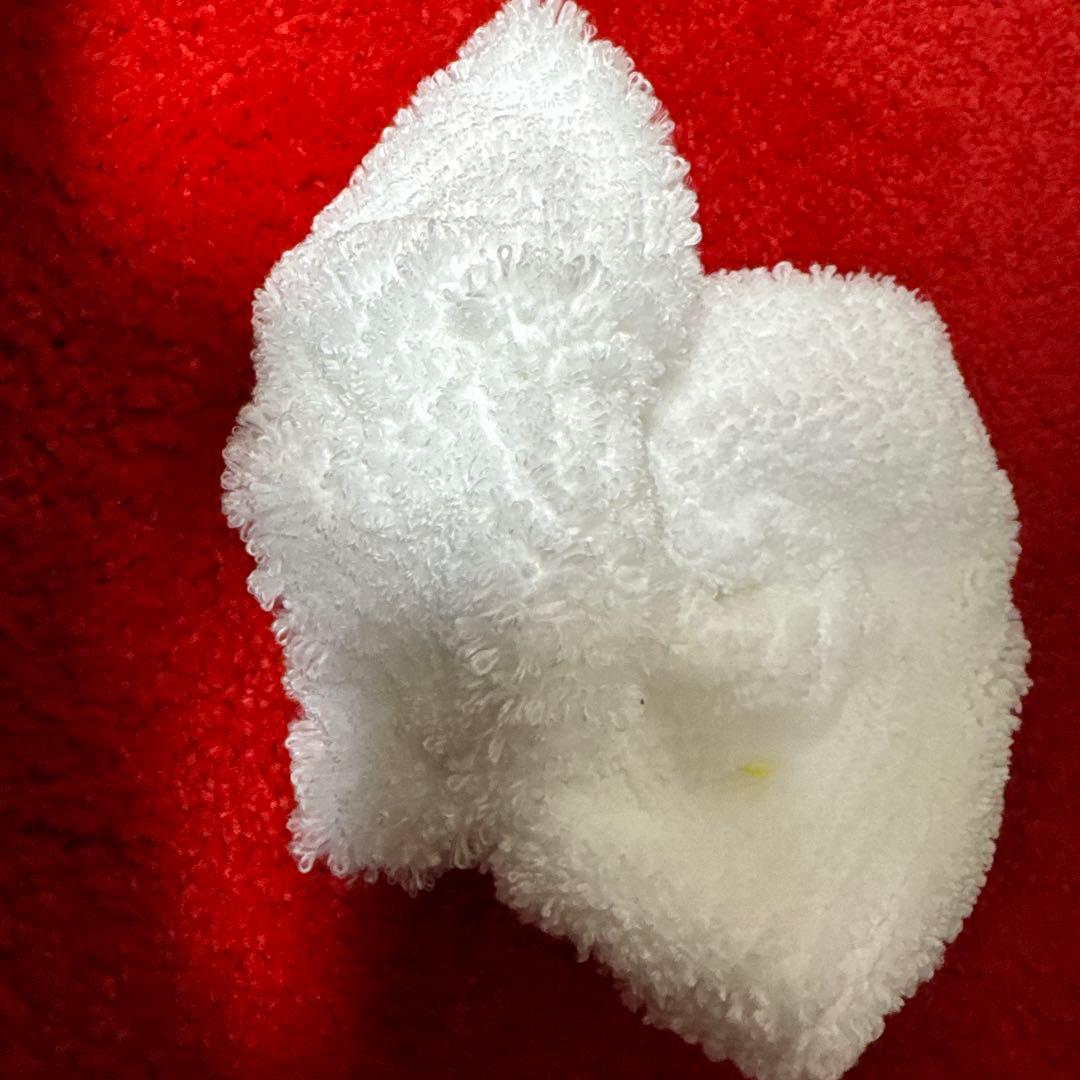 スチームクリーナー