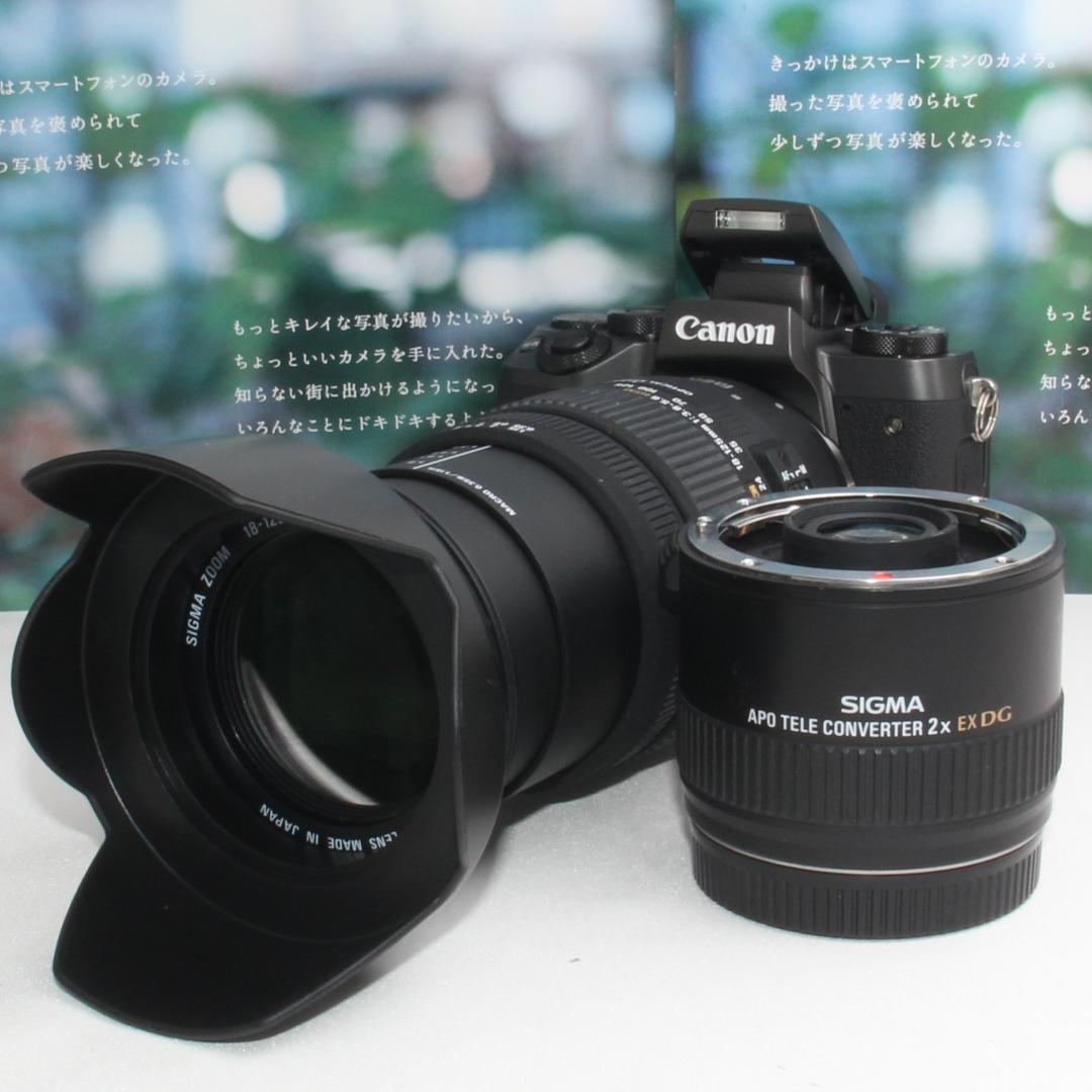 ❤️予備バッテリー&2倍テレコン付き❤️Canon EOS M5 神レンズセット