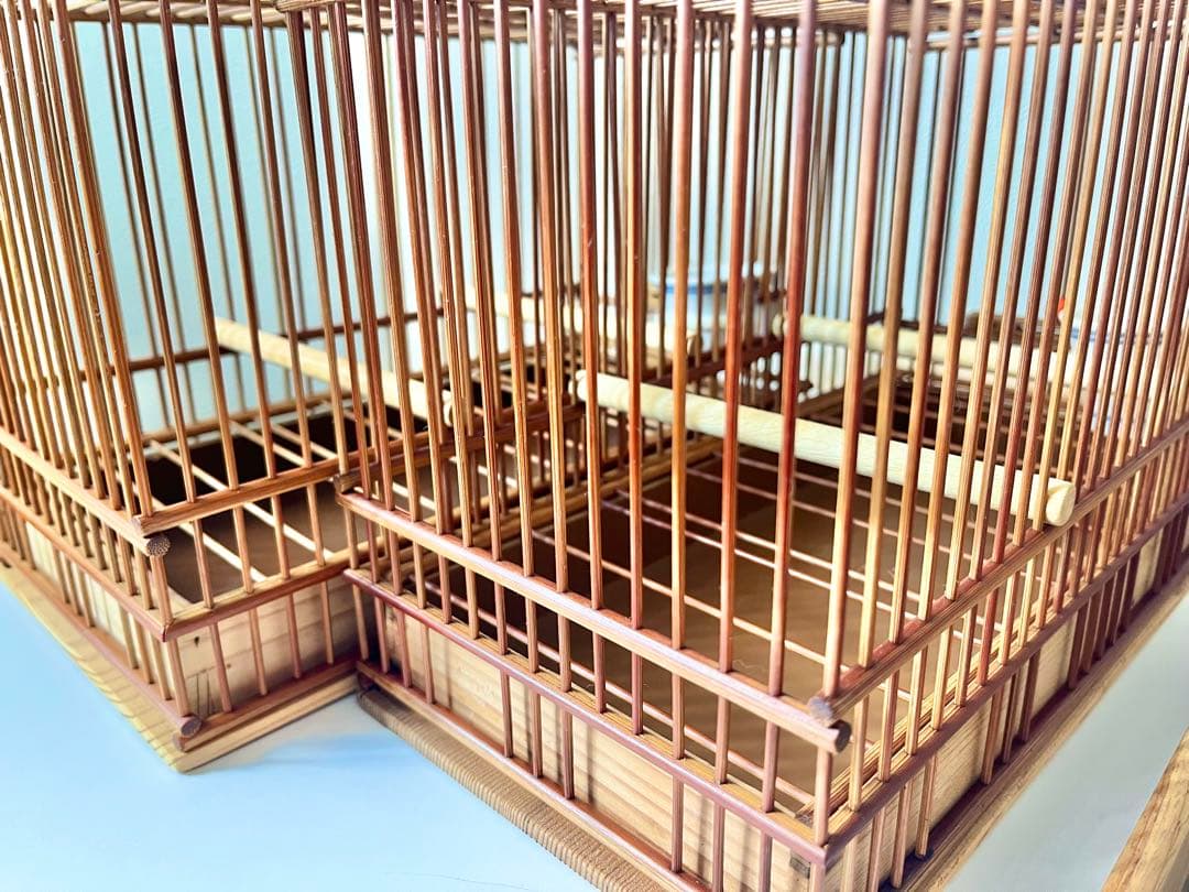 山一竹籠　メジロ籠