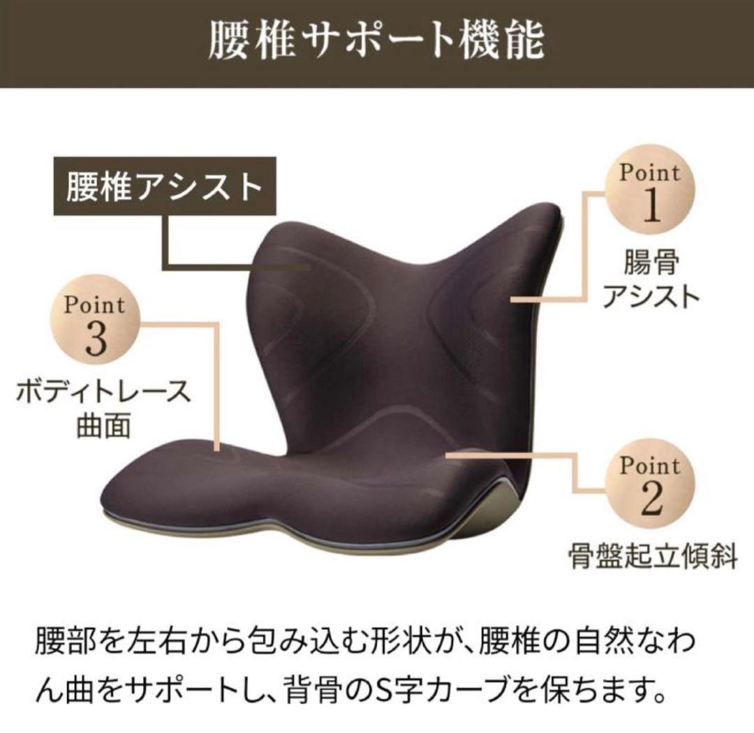 Style PREMIUM 腰椎サポート機能 ブラック