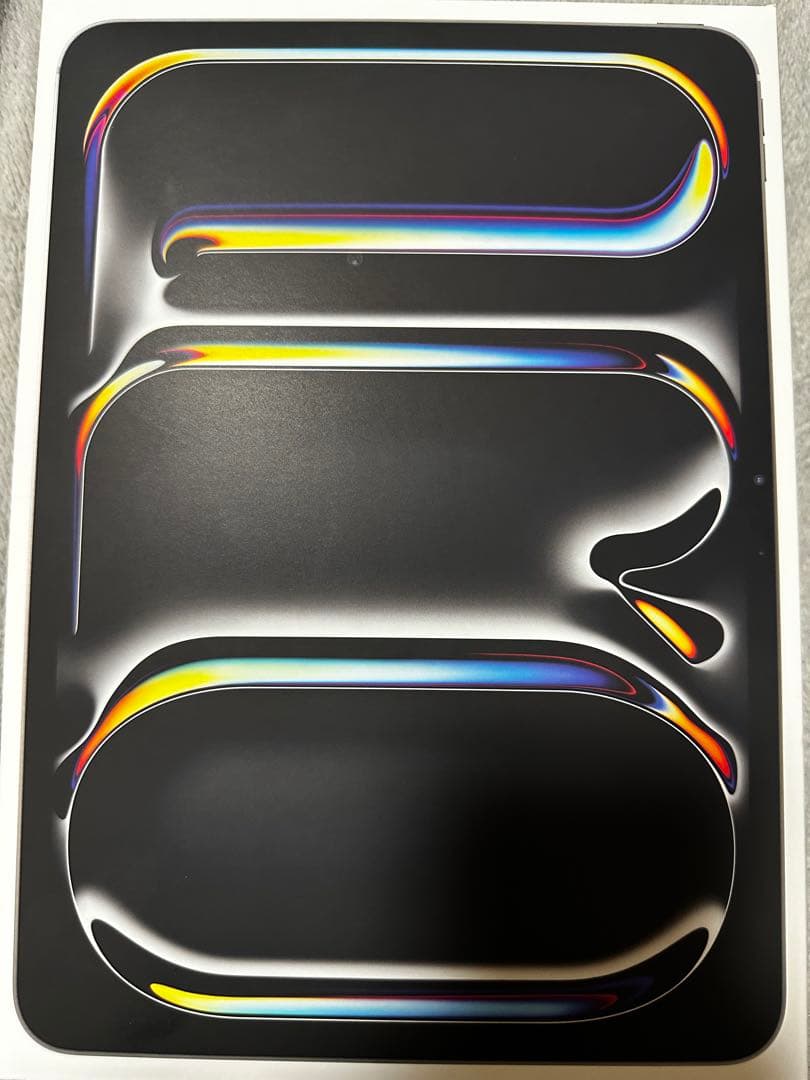 iPadPro M4 11インチ シルバー 256GB バッテリー残量100%