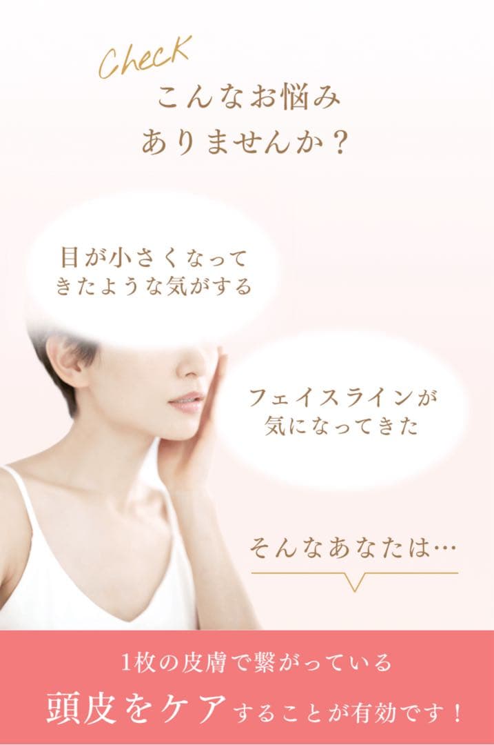 【美品・ほぼ未使用】DoRAISE ドゥライズ 電気リフトブラシ