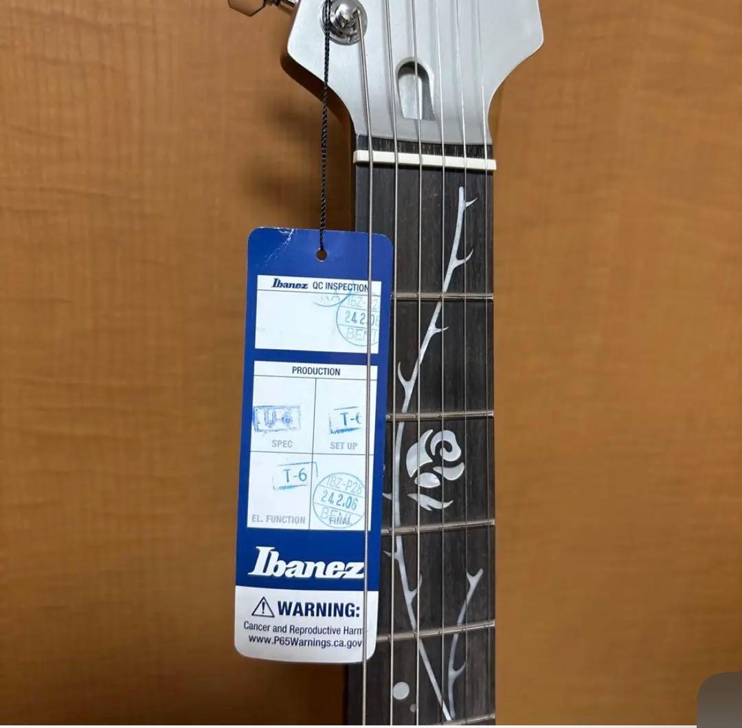 ギター Ibanez Signature MODEL Tim Henson TOD10