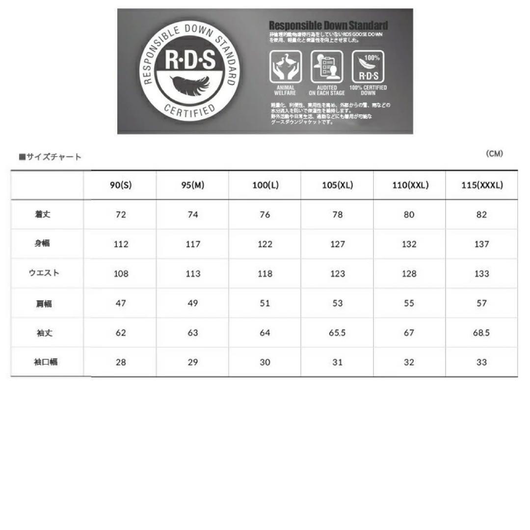 THE NORTH FACE GO EXPLORING DOWN日本未発売