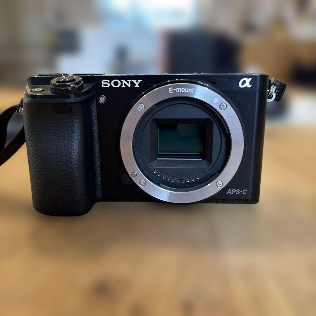 SONY α6000 ILCE-6000Y ダブルズームレンズキット