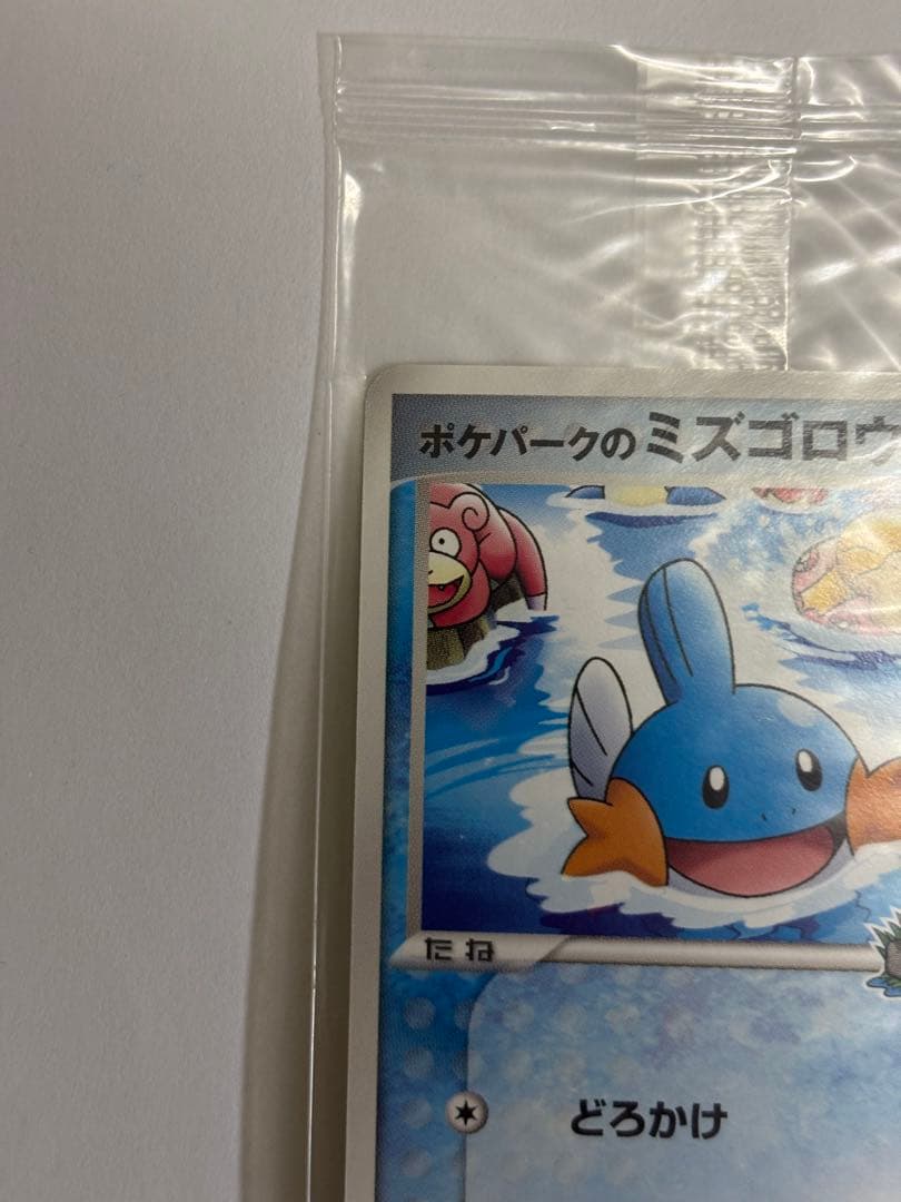 ポケパークのミズゴロウ　未開封