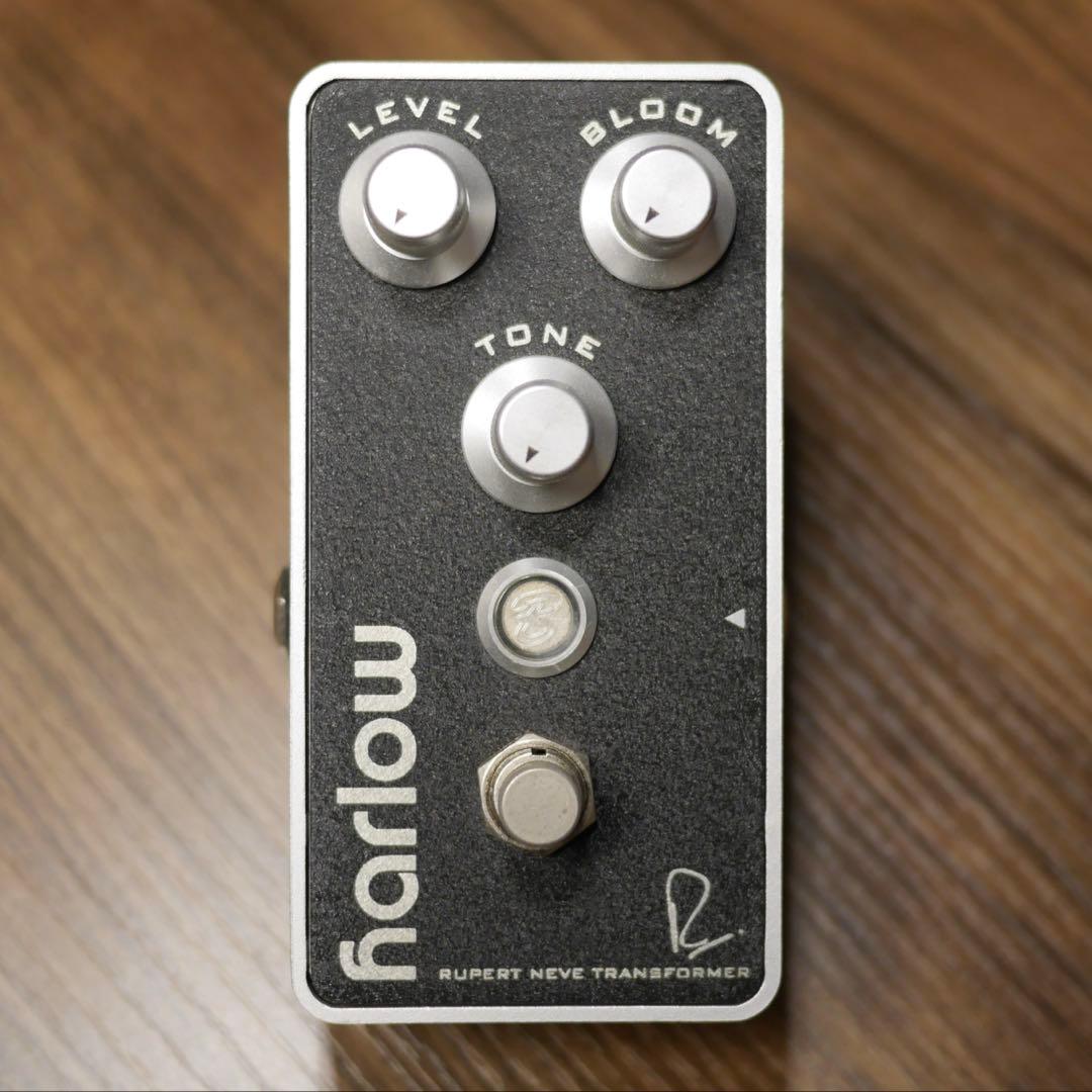 Bogner Harlow v1 限定モデル
