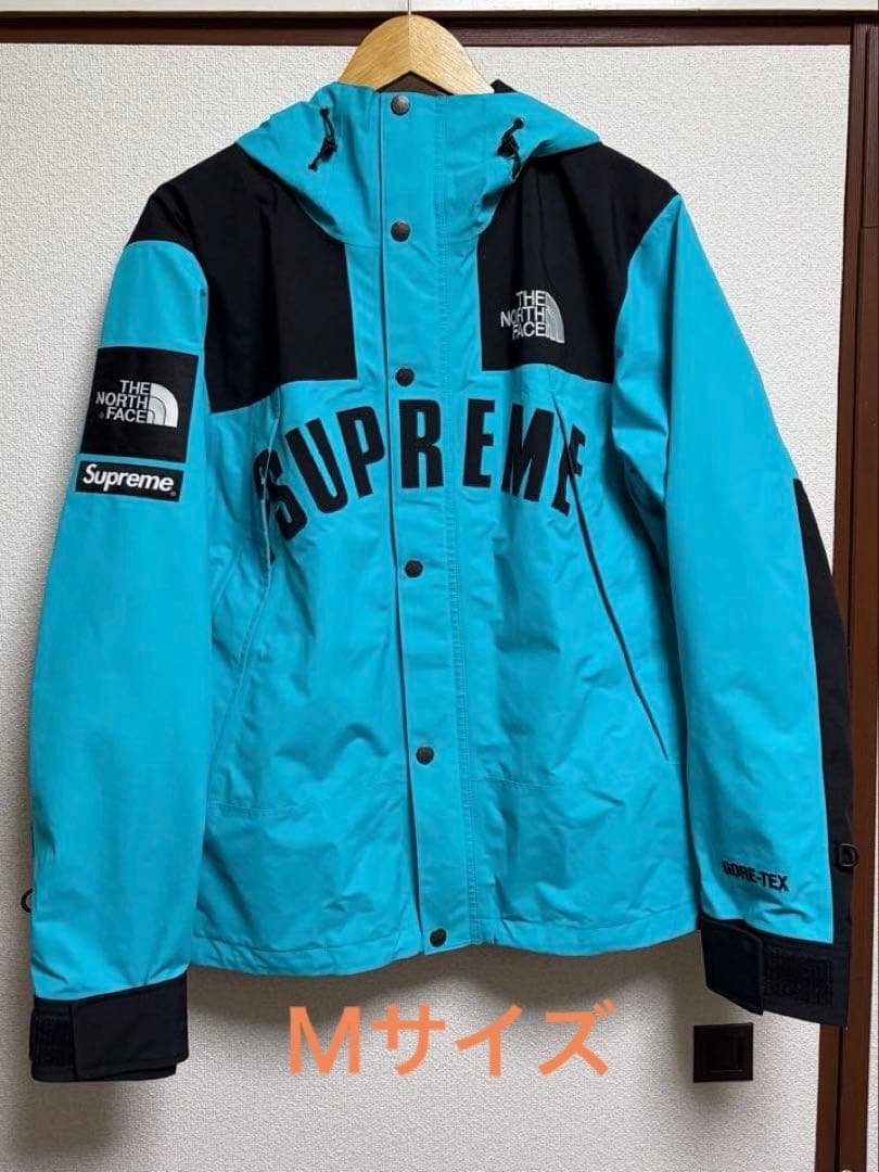 Supreme®/The North Face® Mountain Parka