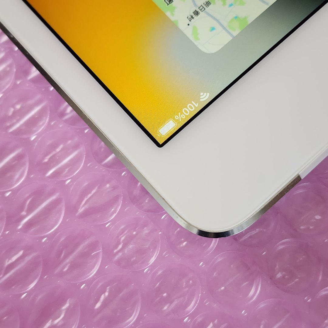 Apple iPad mini 第4世代　64GB　WiFi+Cellular