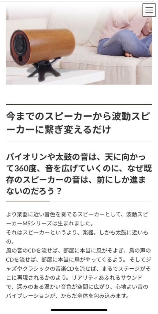 【カバー付き美品！】M'S System MS1001 波動スピーカー