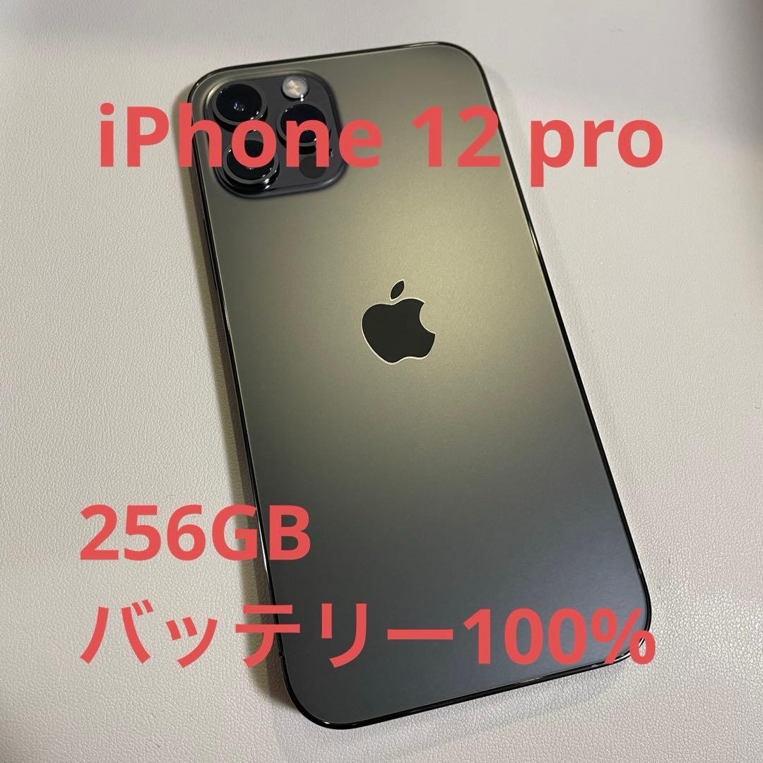 【Apple工場交換100%】iPhone 12 Pro 256GB 本体　美品