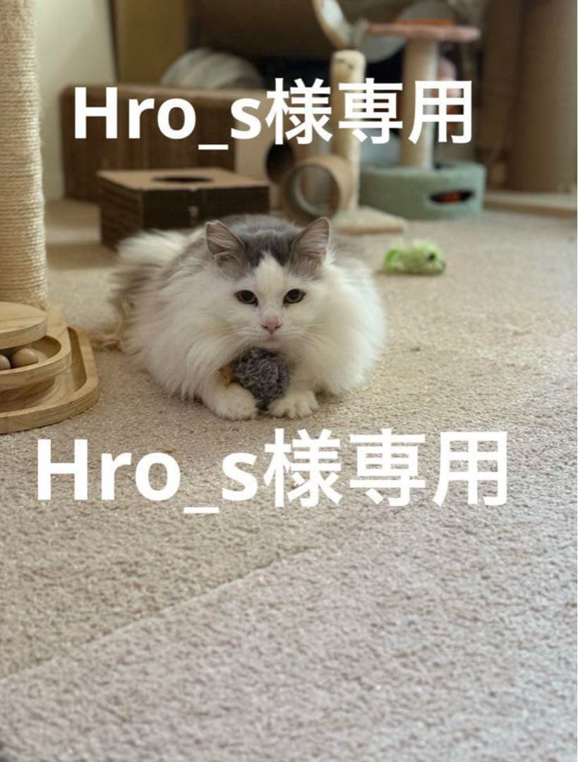 その他 Hro_s