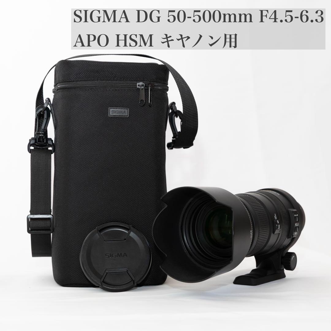 SIGMA DG 50-500mm F4.5-6.3 APO HSM キヤノン用