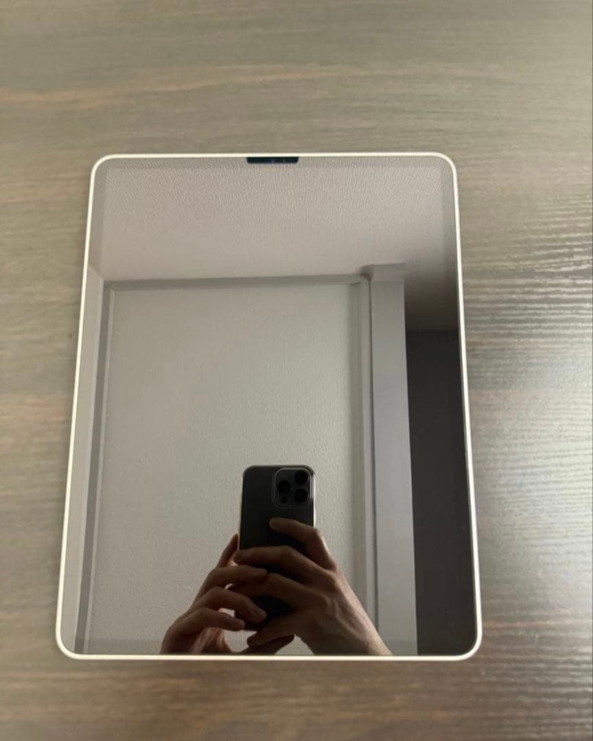 【美品・動作確認済】iPad Pro 12.9インチ 第4世代 256GB