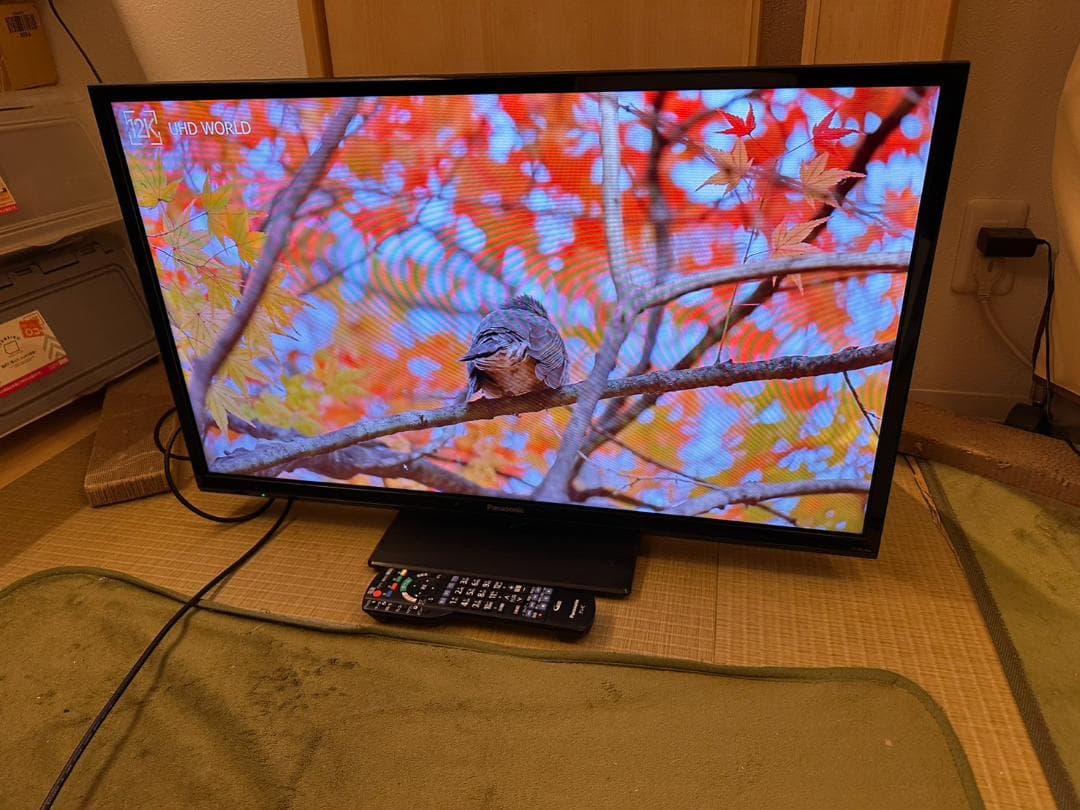 Panasonic　パナソニック 32型 テレビ TH-32J300HT 22年