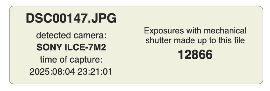 本体小傷程度　SONY α7 II 純正グリップ付き