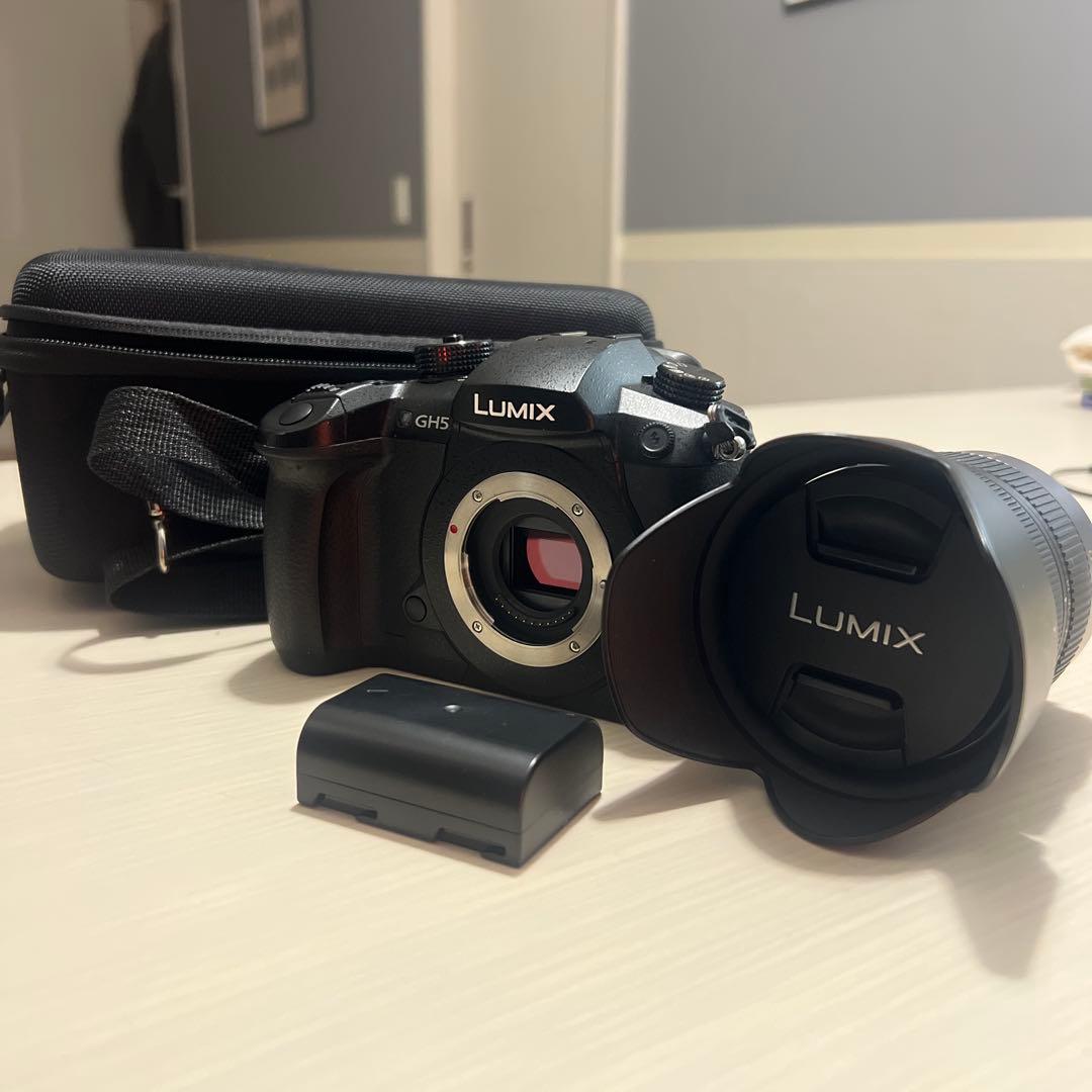 【カメラ】GH5 + 14-140mm 手ブレ補正 高倍率ズーム 動画向けセット
