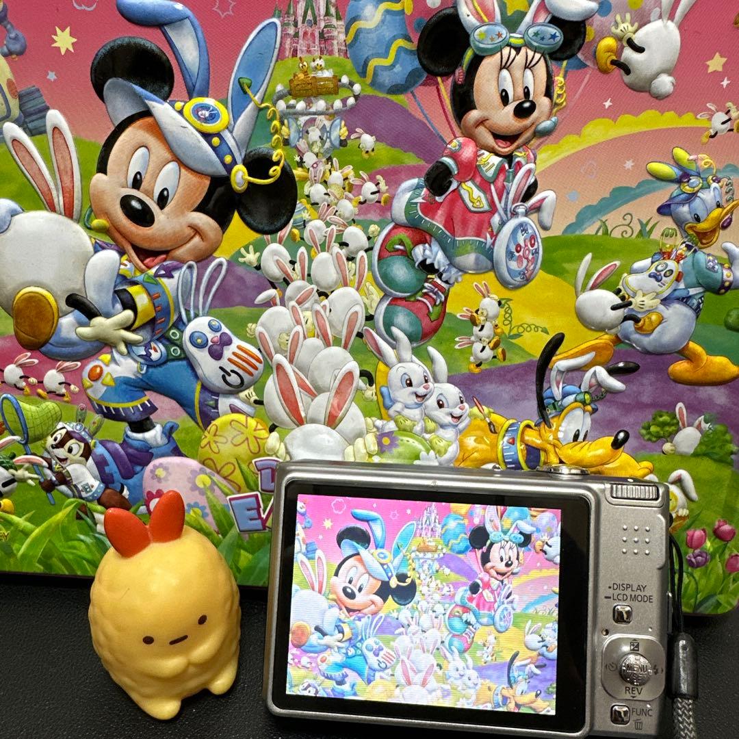 パナソニックPanasonic LUMIX DMC-FX55動作確認済