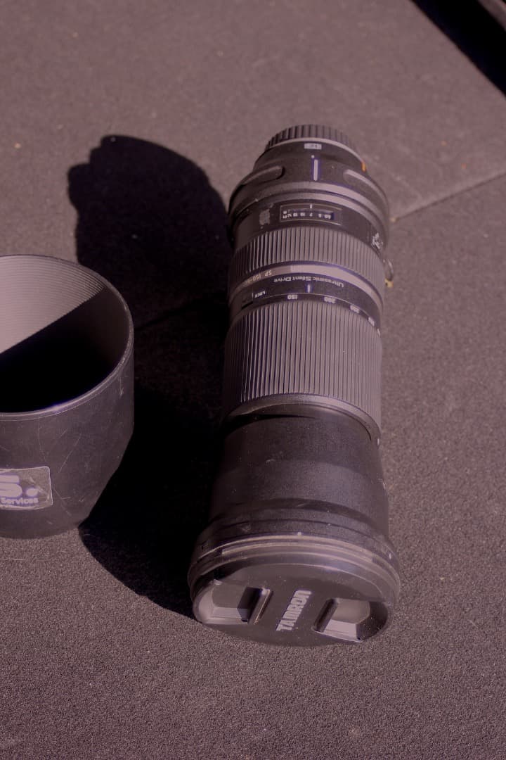 レンズ(ズーム) TAMRON SP 150-600mm F5-6.3 Di VC USD