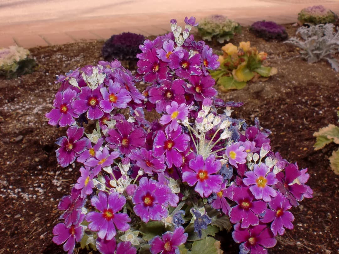 追加あり⭕️【動作確認済み】CASIO EXILIM EX-Z90　ブラック