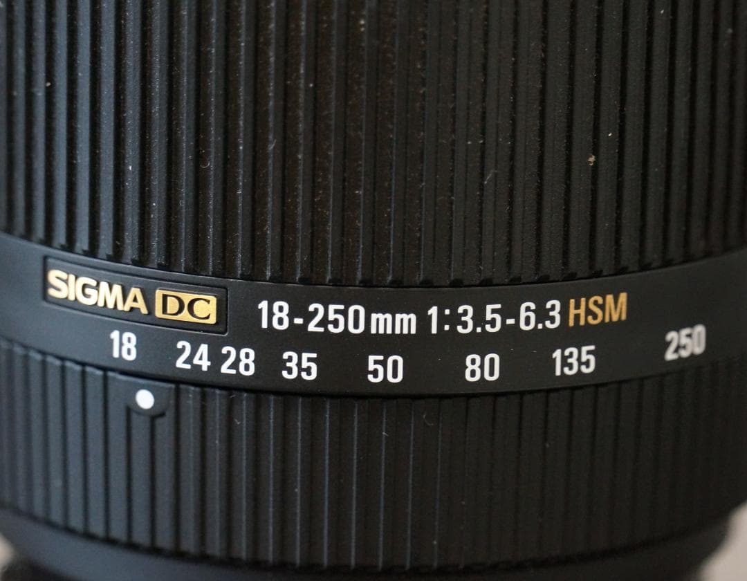 SIGMA 18-250mm 1:3.5-6.3 DC OS HSM ソニー用