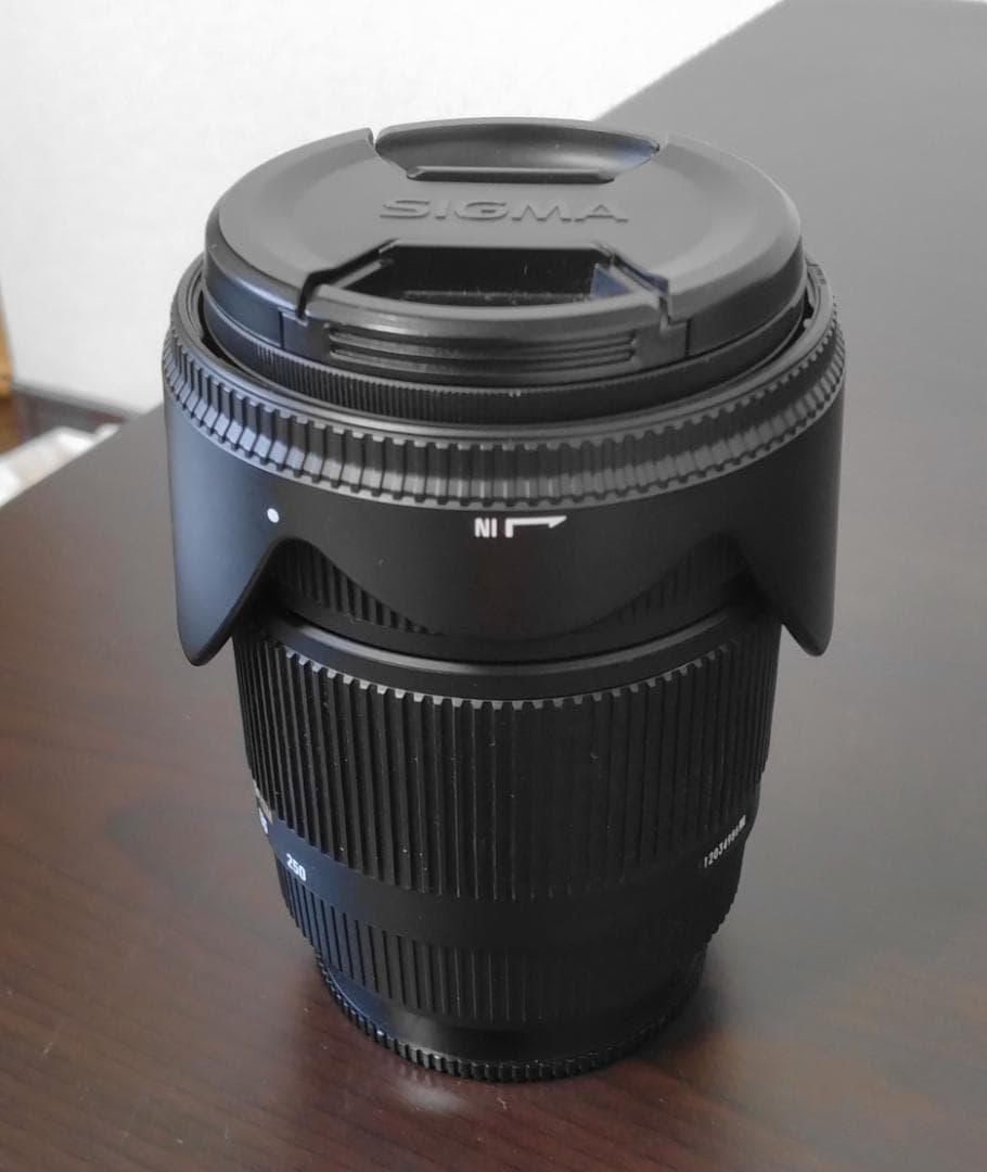 SIGMA 18-250mm 1:3.5-6.3 DC OS HSM ソニー用