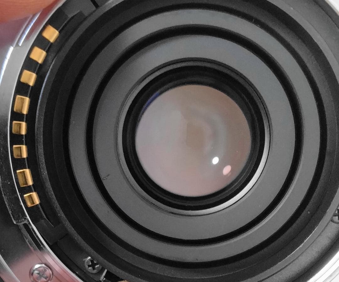 SIGMA 18-250mm 1:3.5-6.3 DC OS HSM ソニー用